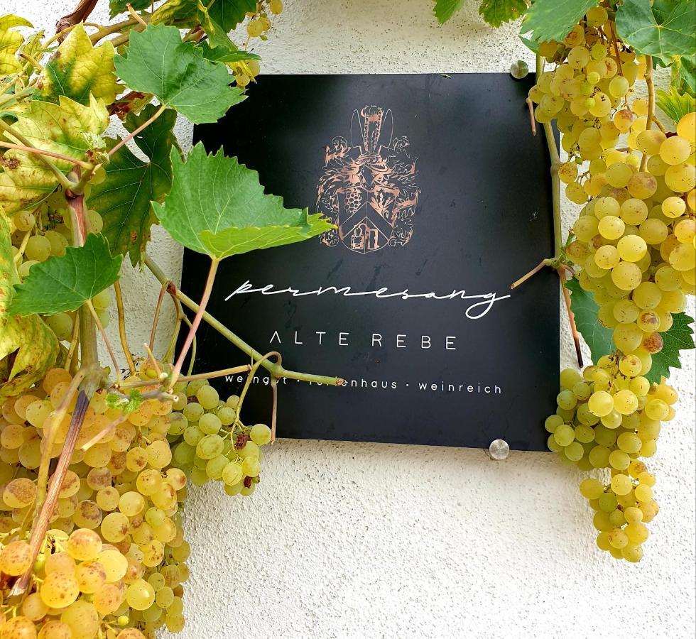 Zur Alten Rebe Ferienhaus Und Weingut 孔茨 外观 照片