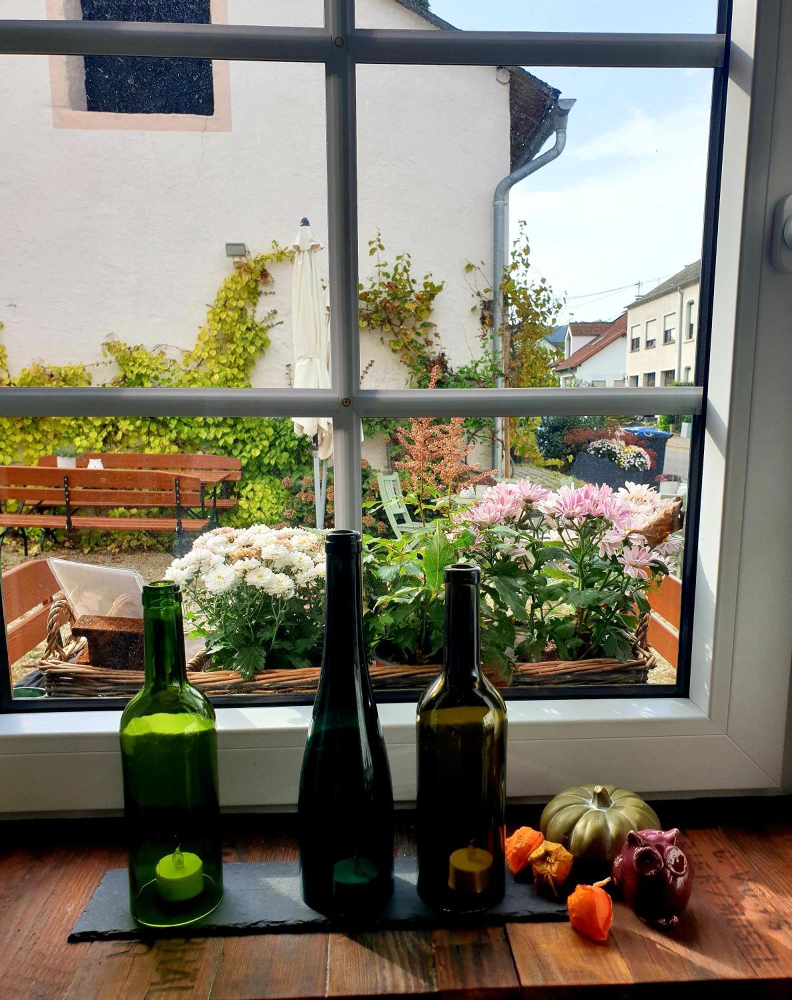 Zur Alten Rebe Ferienhaus Und Weingut 孔茨 外观 照片