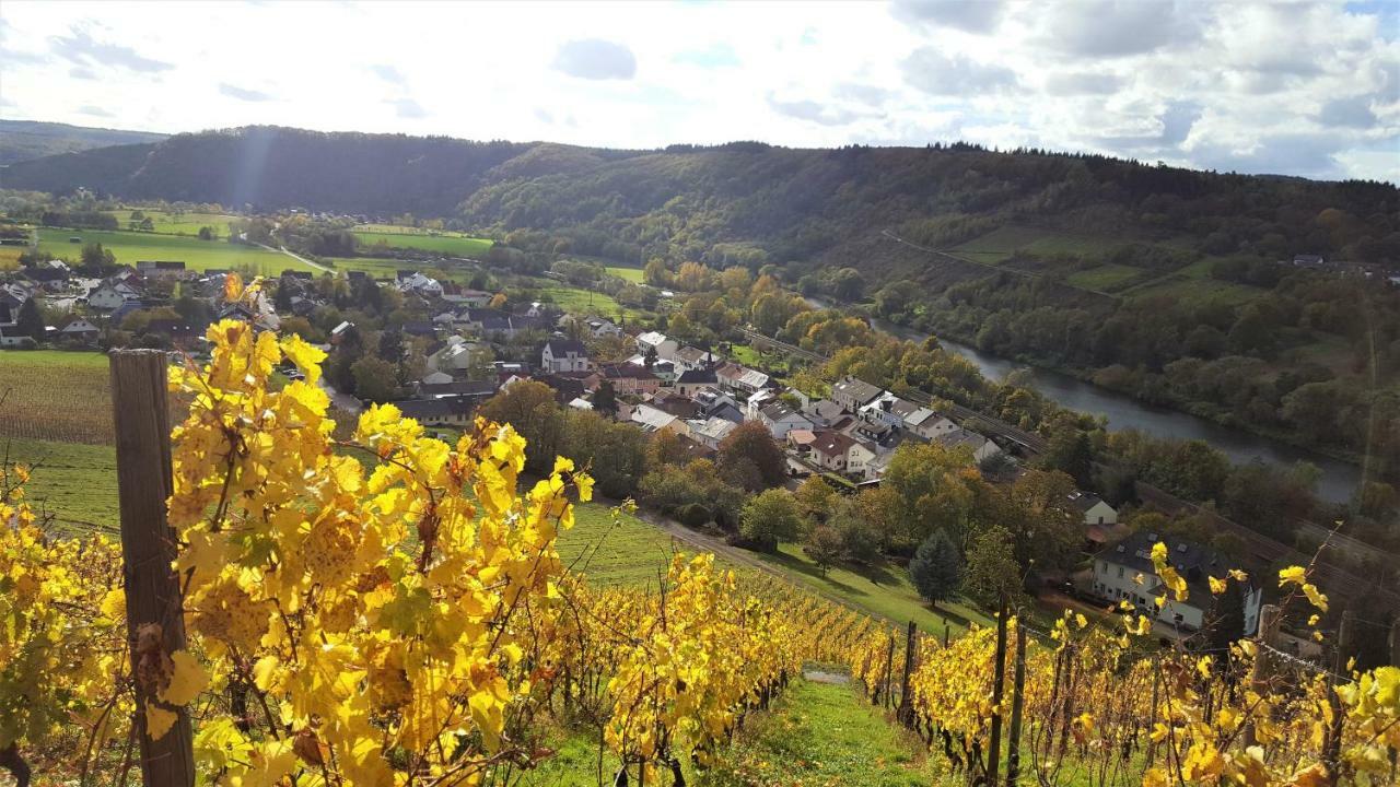 Zur Alten Rebe Ferienhaus Und Weingut 孔茨 外观 照片
