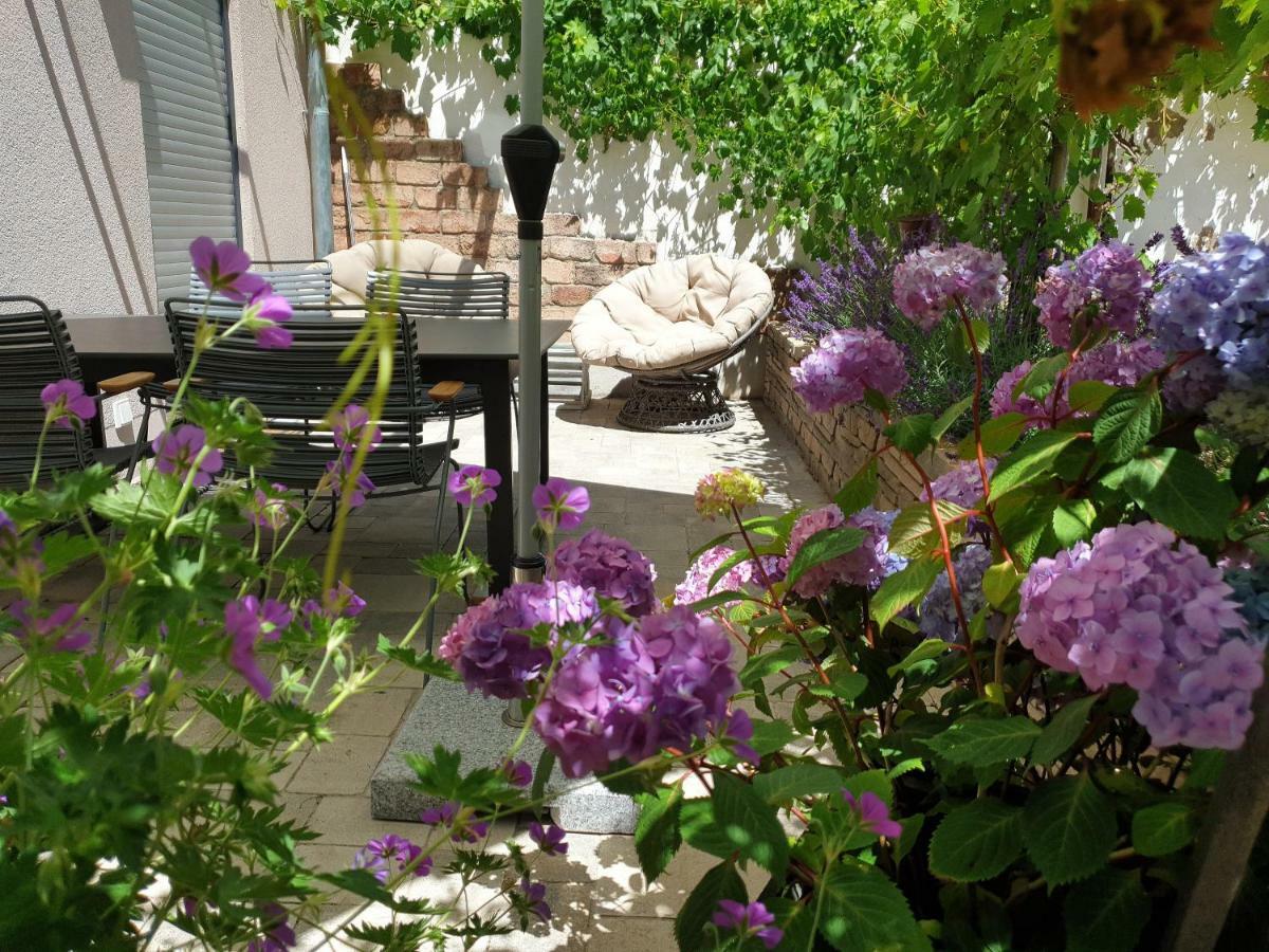 Zur Alten Rebe Ferienhaus Und Weingut 孔茨 外观 照片
