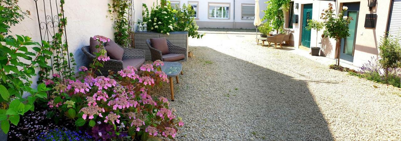 Zur Alten Rebe Ferienhaus Und Weingut 孔茨 外观 照片