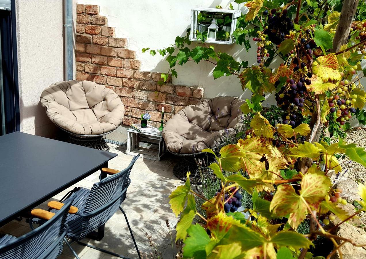 Zur Alten Rebe Ferienhaus Und Weingut 孔茨 外观 照片