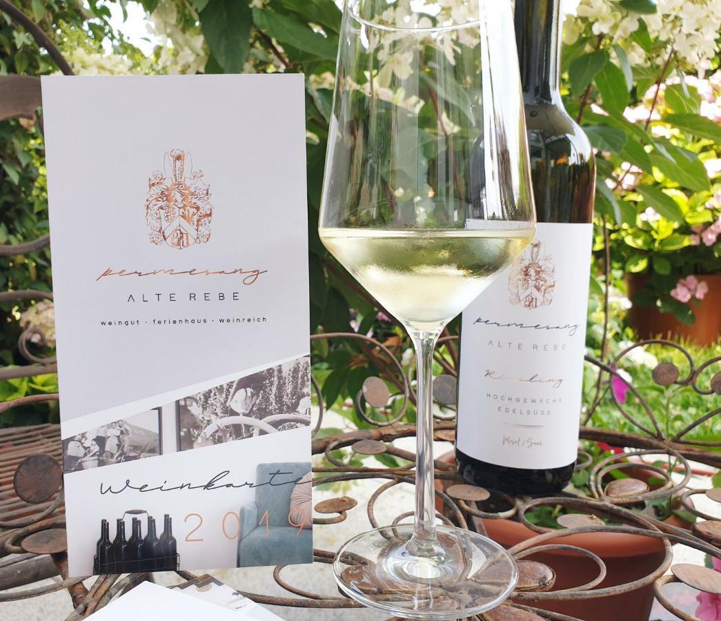 Zur Alten Rebe Ferienhaus Und Weingut 孔茨 外观 照片