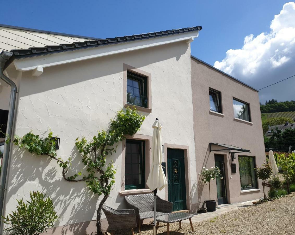 Zur Alten Rebe Ferienhaus Und Weingut 孔茨 外观 照片