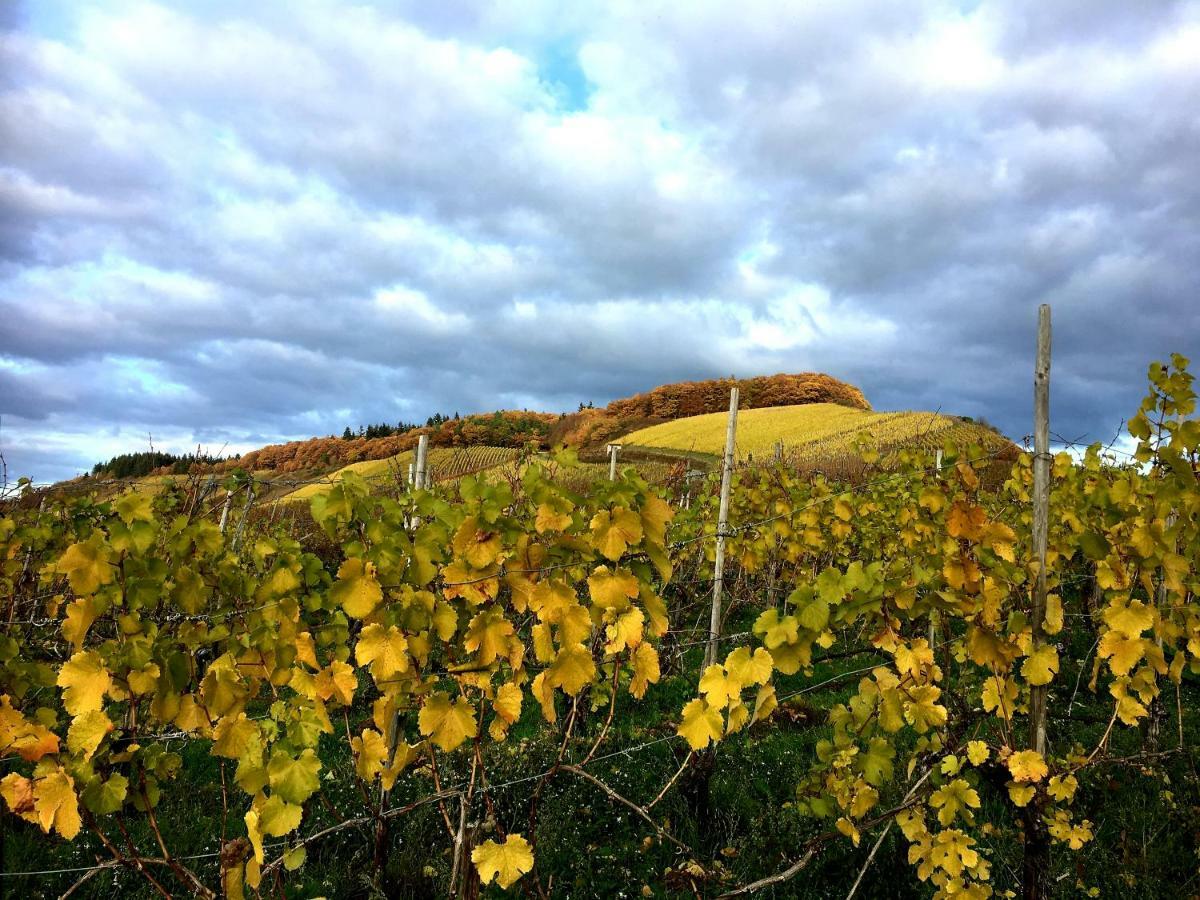 Zur Alten Rebe Ferienhaus Und Weingut 孔茨 外观 照片